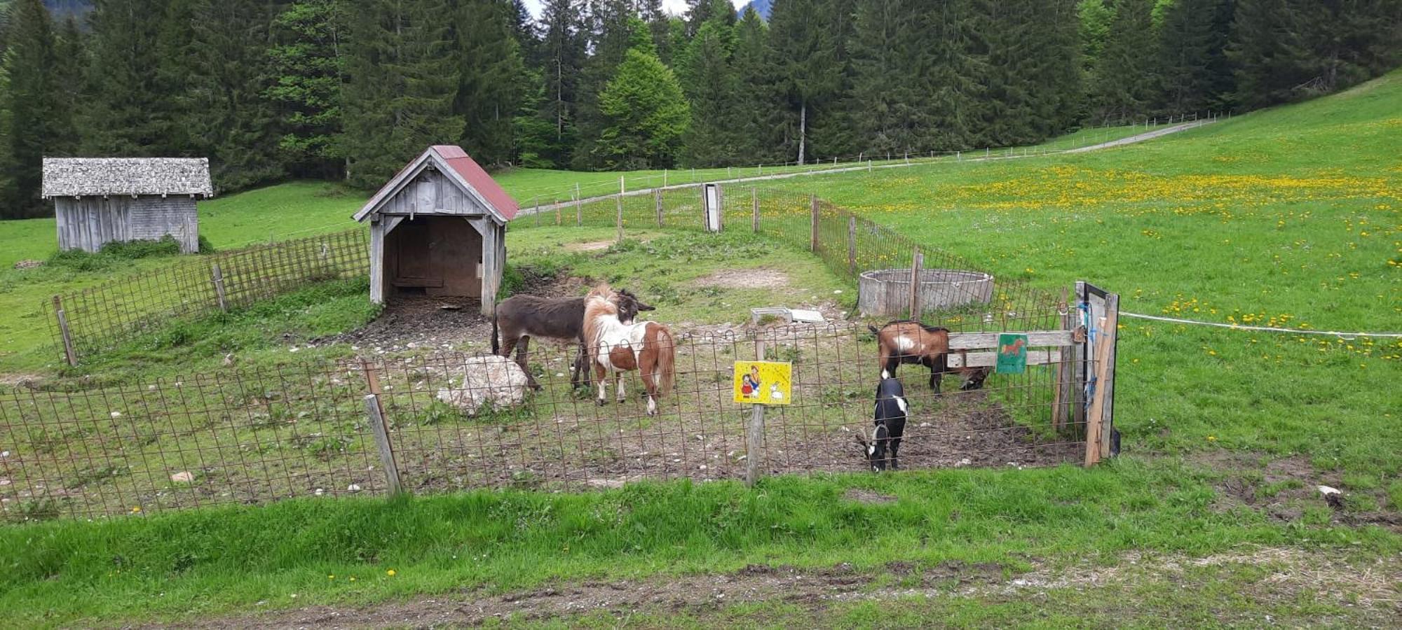 Вилла Jausenstation Neuschwand Хиттизау Экстерьер фото