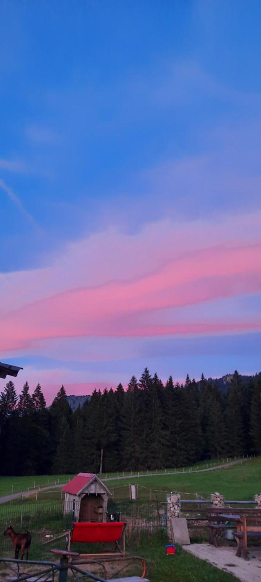 Вилла Jausenstation Neuschwand Хиттизау Экстерьер фото