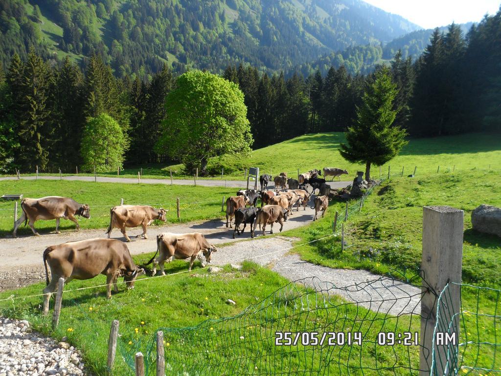 Вилла Jausenstation Neuschwand Хиттизау Экстерьер фото